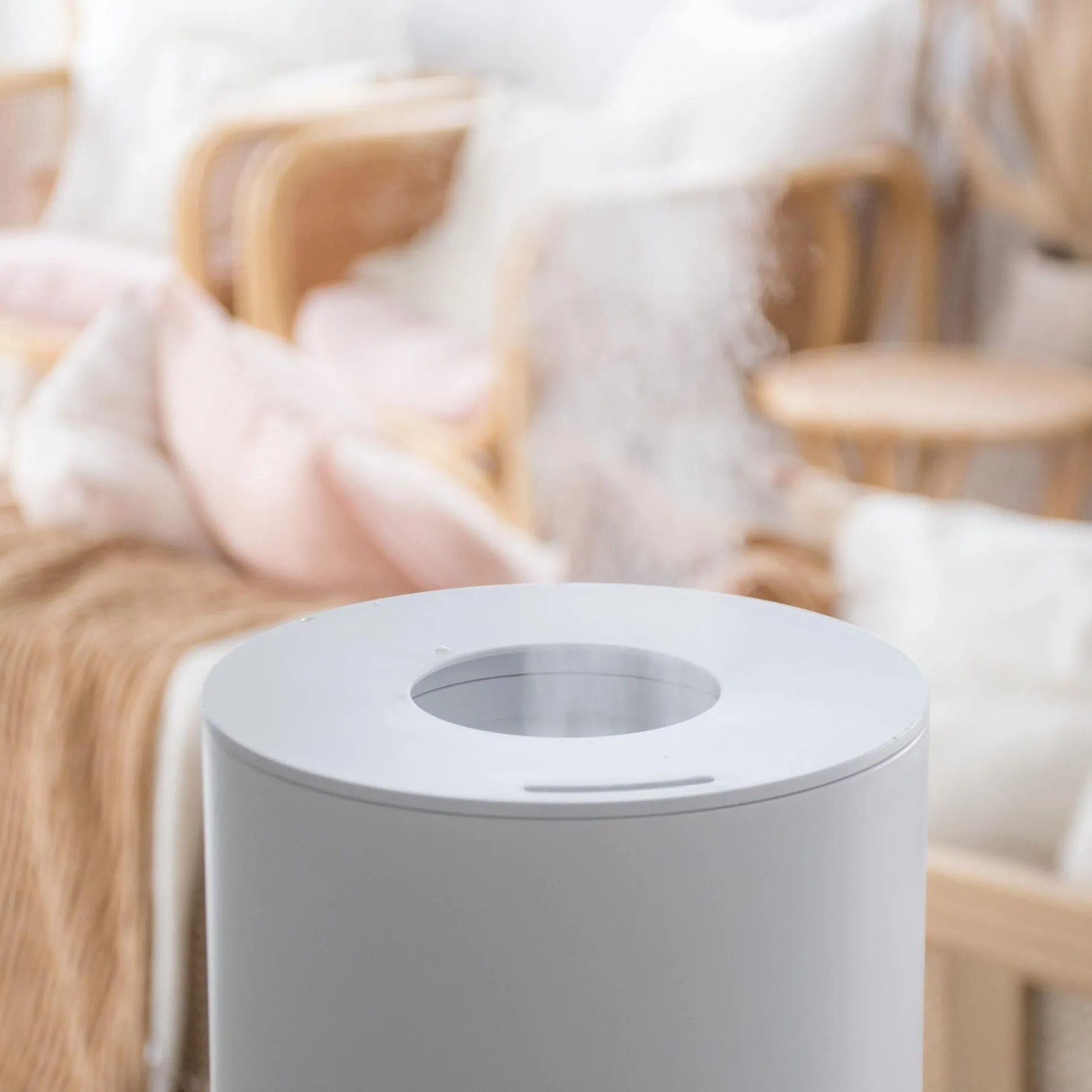 Air Purifier with Sterilization Mode   Oil