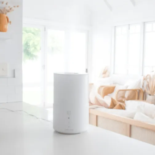 Air Purifier with Sterilization Mode   Oil