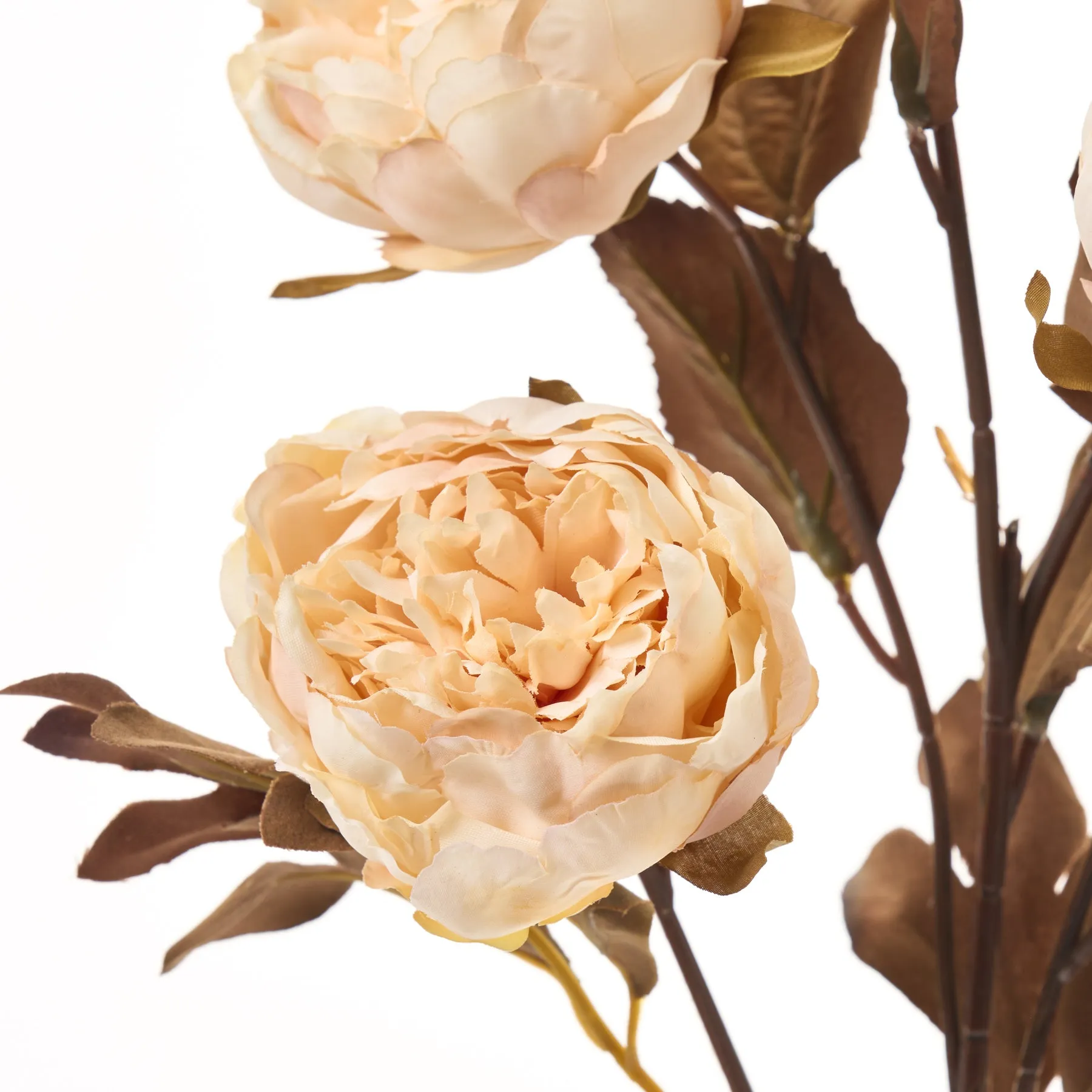 Candlelight Harvest Peony Bloom & Bud Faux Floral Branch Spray - 26"