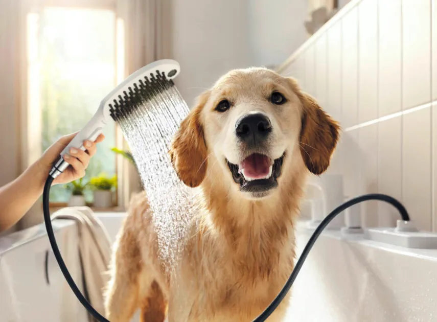 Hansgrohe 04974 DogShower Bundle