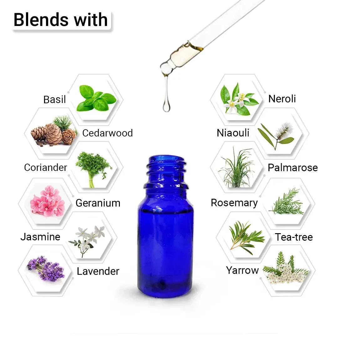 Lemongrass Essential Oil, Therapeutic, Pure & Natural, Stimulates & Energies Body and Mind, Insecticide 10ml