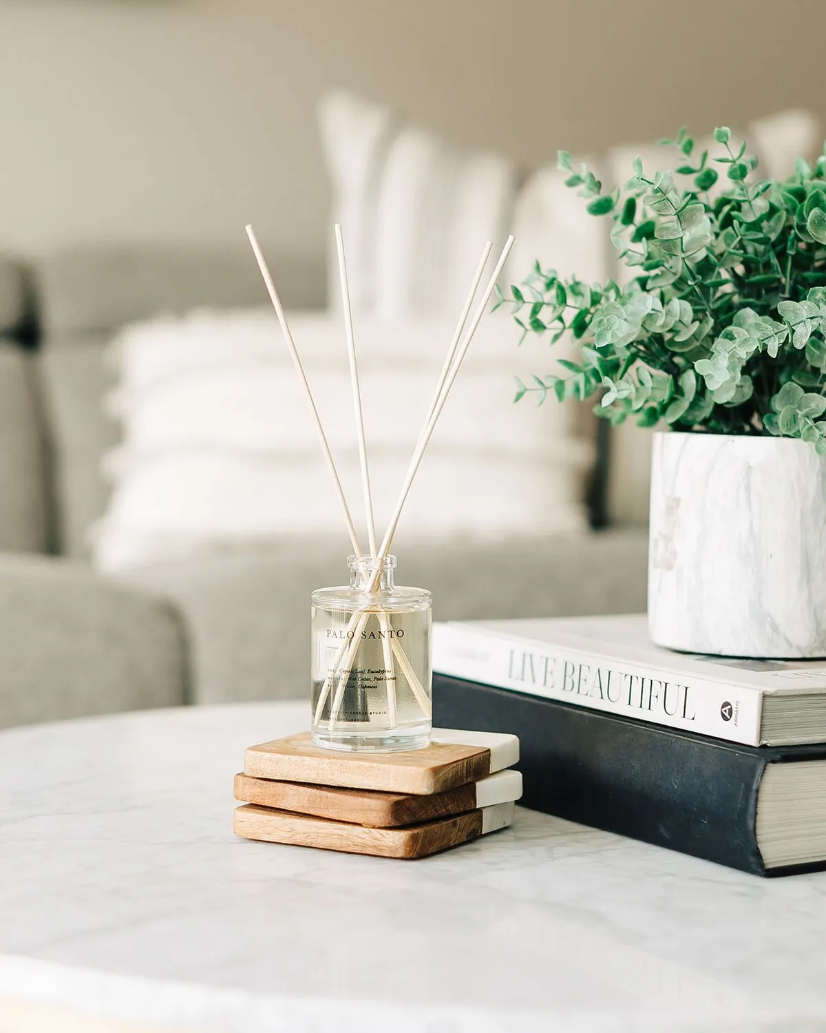 Palo Santo Reed Diffuser | Home Fragrances