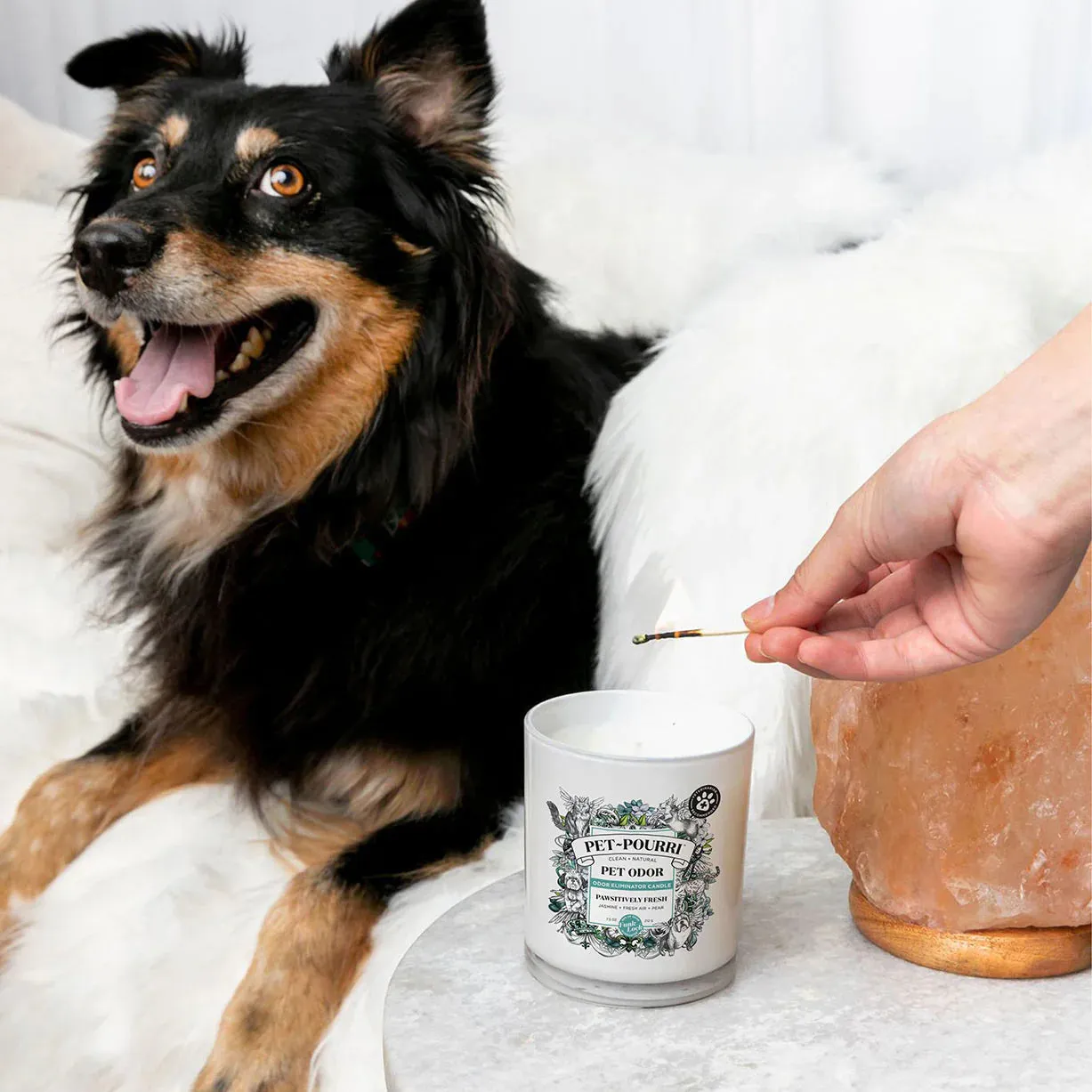 Poo-Pourri Pawsitively Fresh Candle