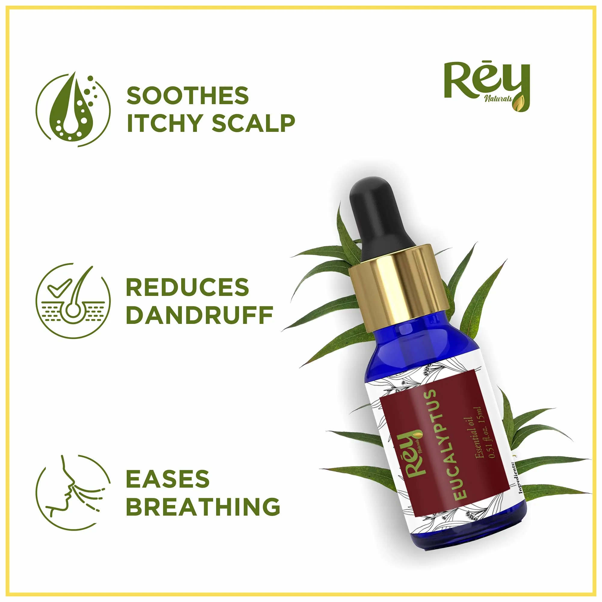 Rey Naturals Eucalyptus Oil - 100% Natural Essential Oil for Soothing Scalp, Reduces Dandruff, and Aromatherapy - 15ml