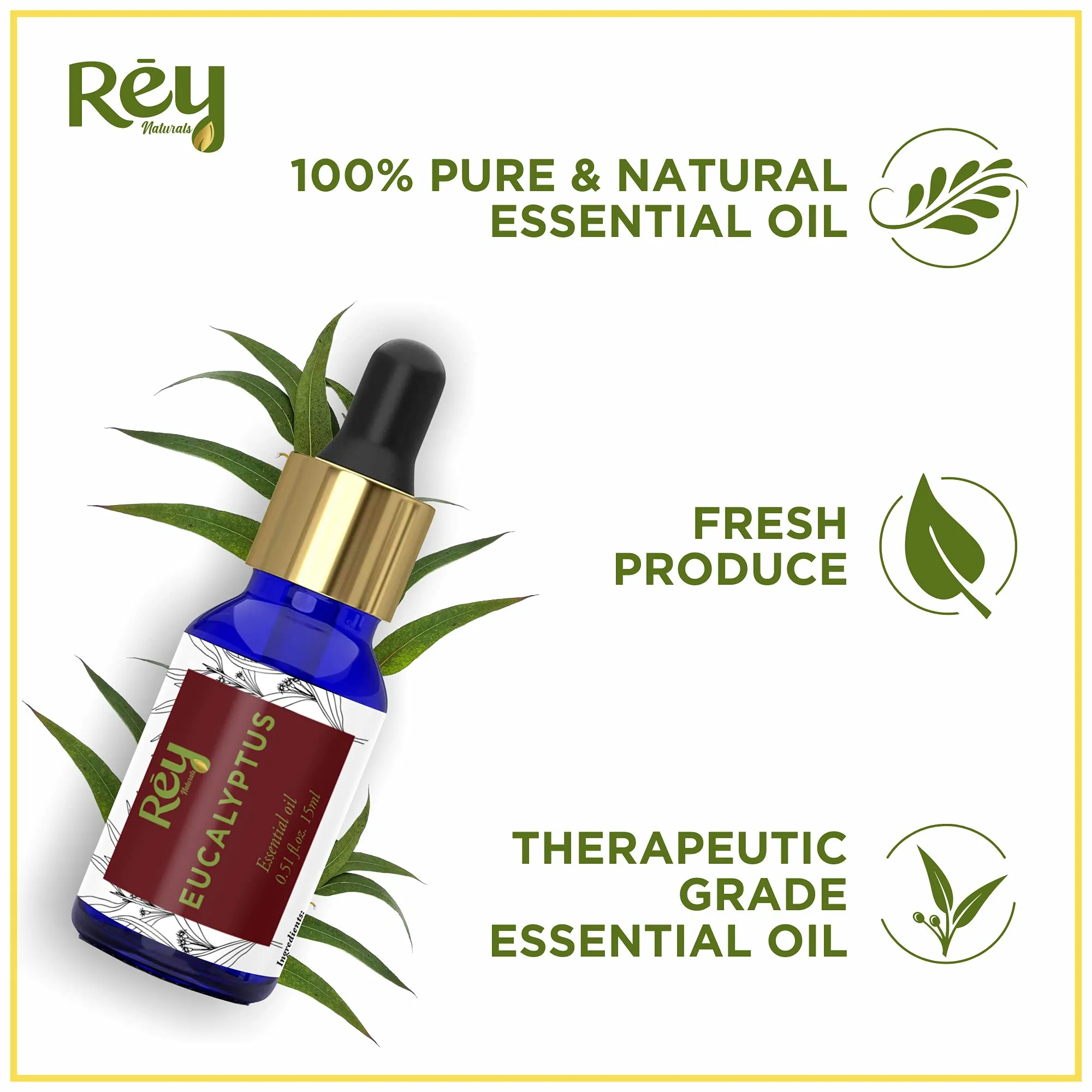 Rey Naturals Eucalyptus Oil - 100% Natural Essential Oil for Soothing Scalp, Reduces Dandruff, and Aromatherapy - 15ml