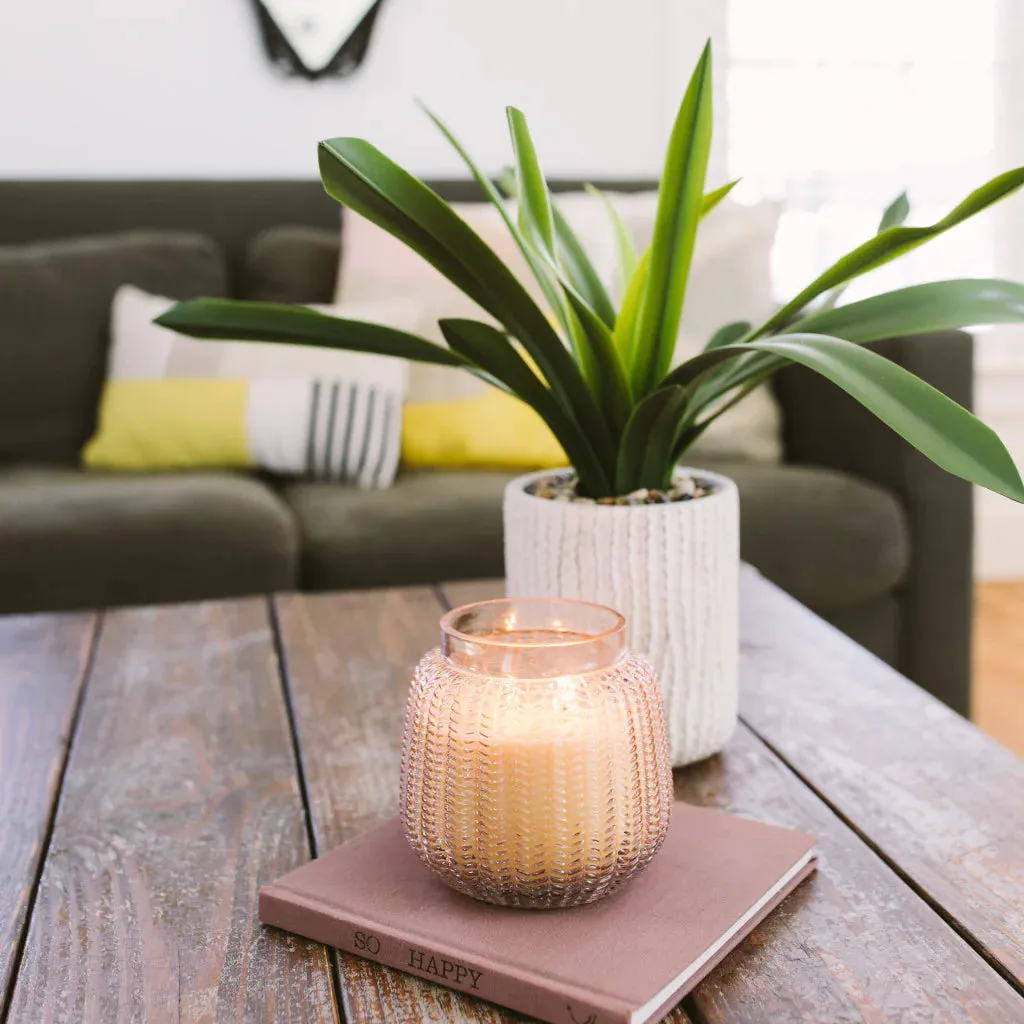Sweet Grace Textured Glass Candle
