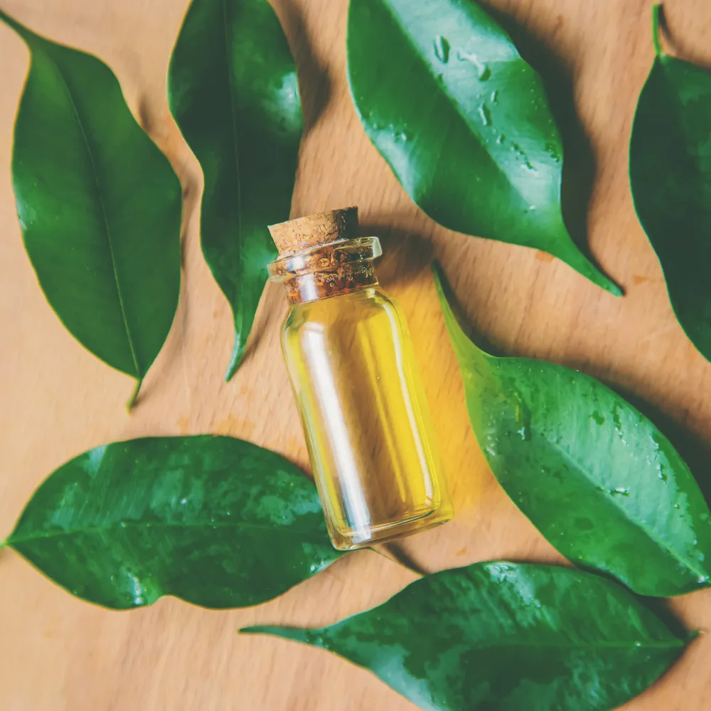 Tea Tree