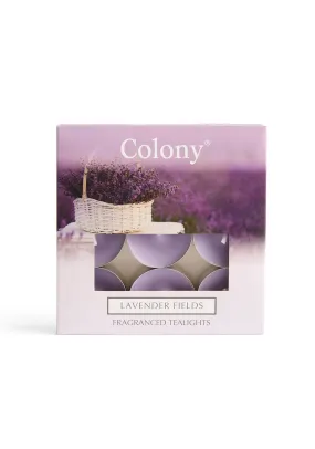 Tealights Lavender Fields 9 Pack