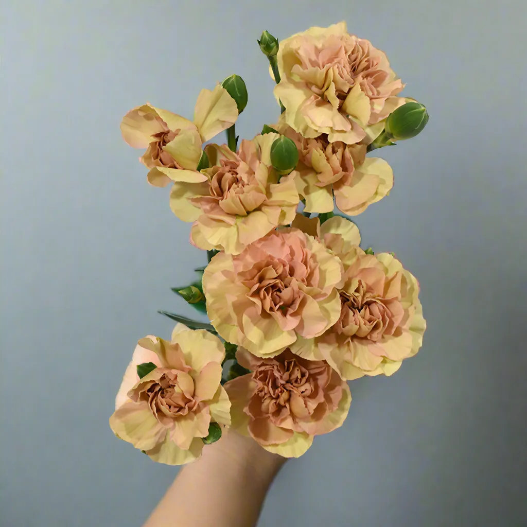 Terracotta Mini Carnation Flower