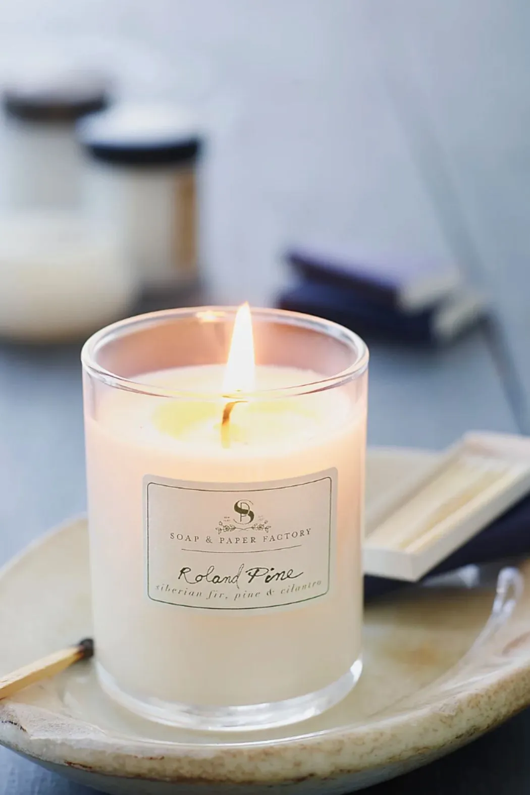 The Soap & Paper Factory Roland Pine Votive Soy Candle